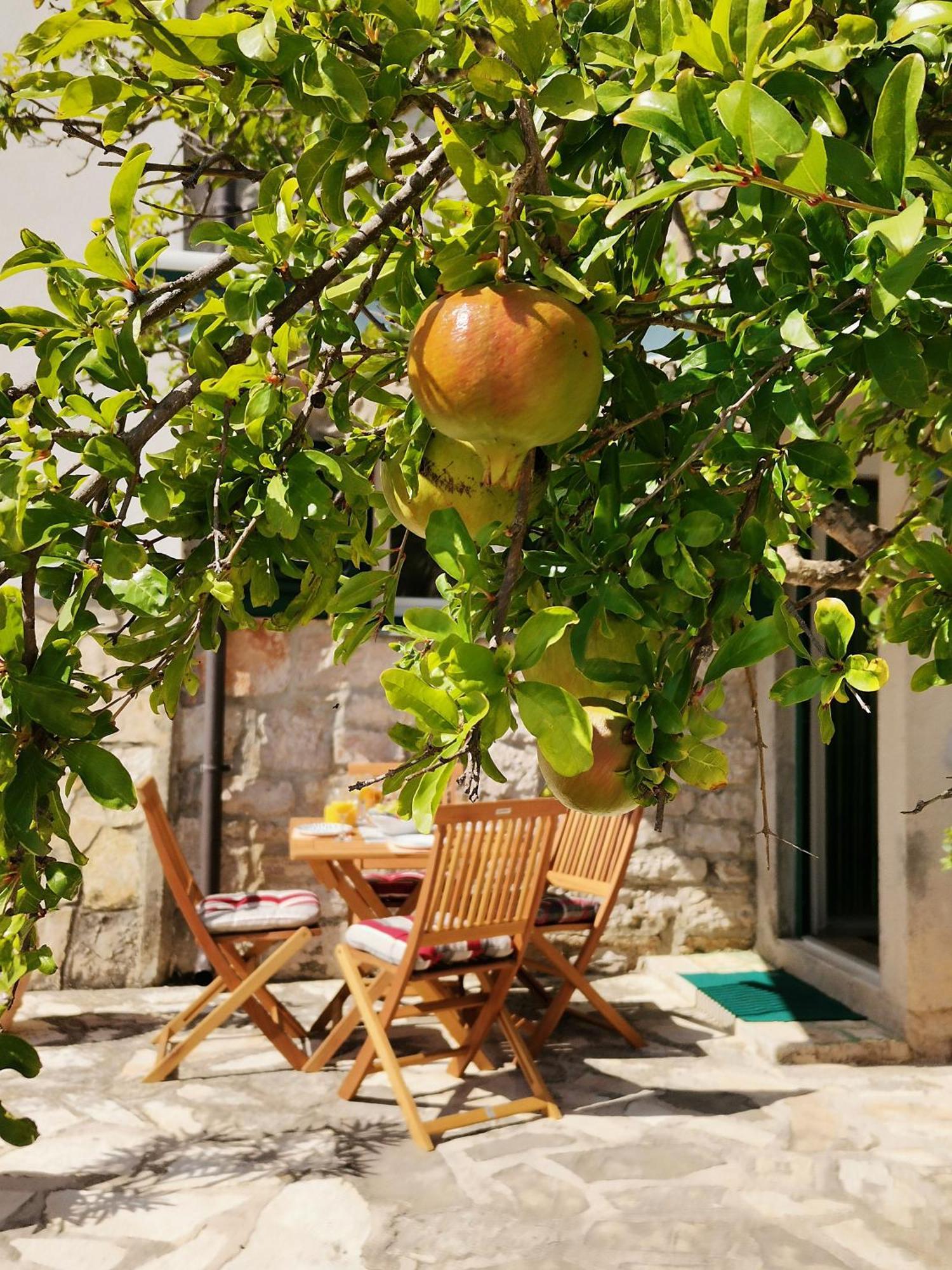 Charming Traditional Townhouse - Holiday Home Kata Jezera Exterior photo